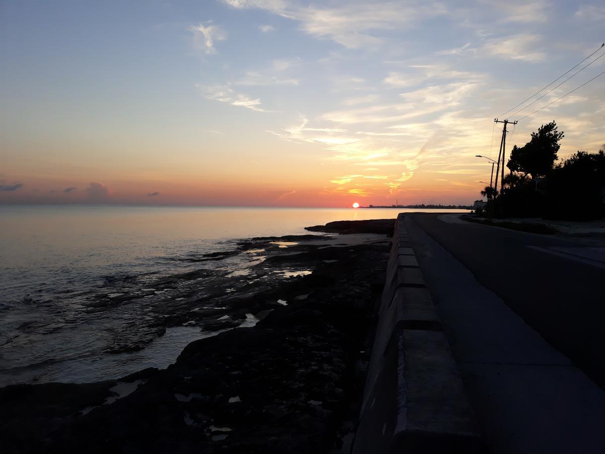 Bell At The Airport Adults Only - Free Airport Transportation * Nassau